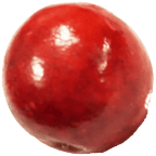 Image of a cranberry